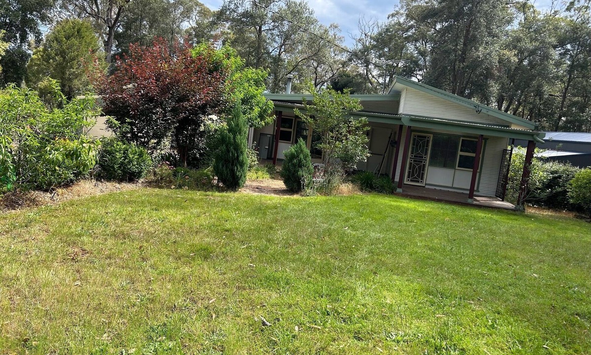 Blue Mountains City Council House | Peaceful mountains cottage stay. 5min drive to Springwood town and train line.