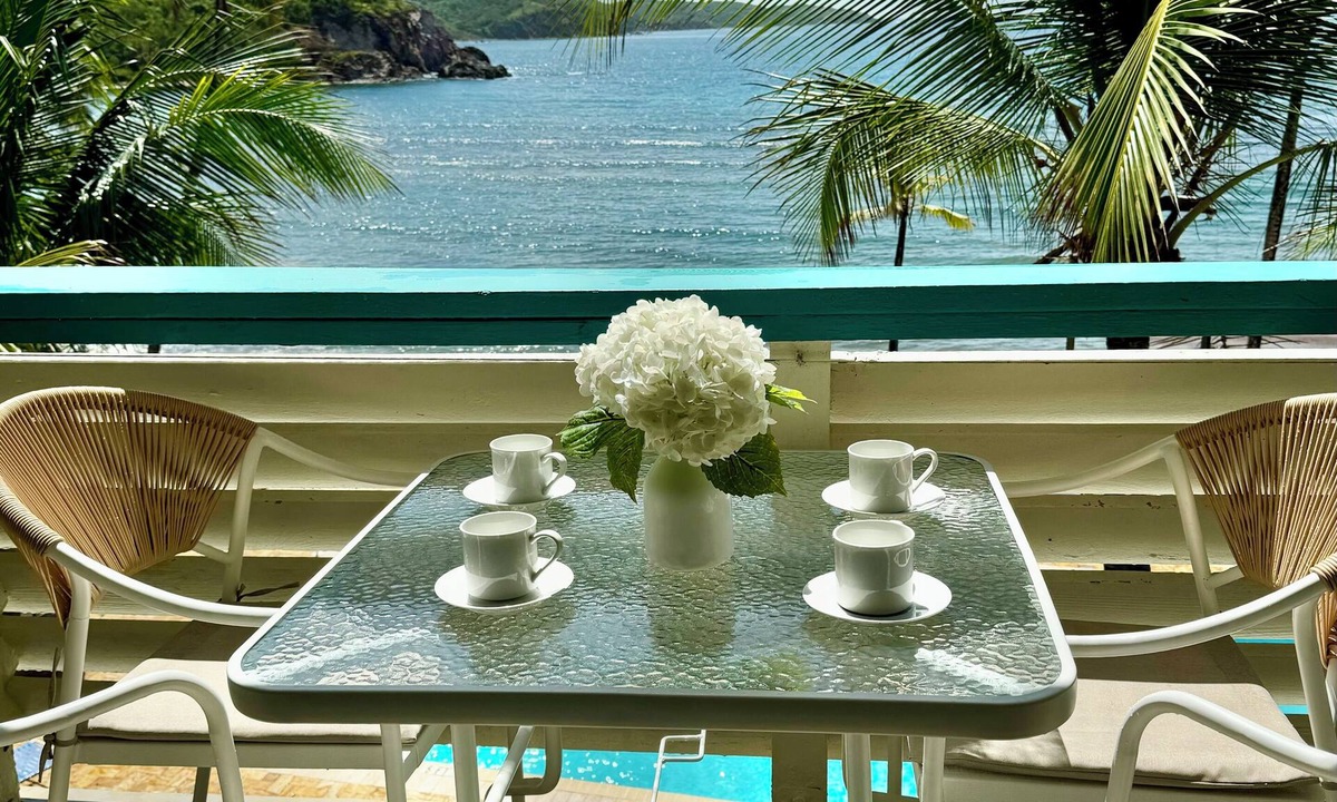 Estate Bolongo Condo | Peaceful Oceanfront Oasis.Pool, Walk to beach, generator backup!
