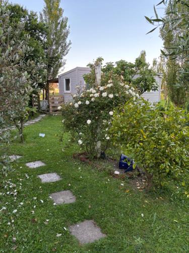 Marton House | Peaceful private and semi rural