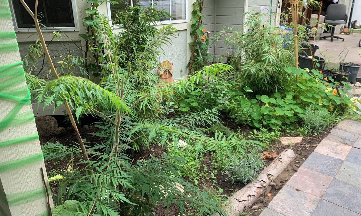 Camano Island House | Peaceful Private Forest Trails and Zen Gardens Weddings Events Healing Sanctuary