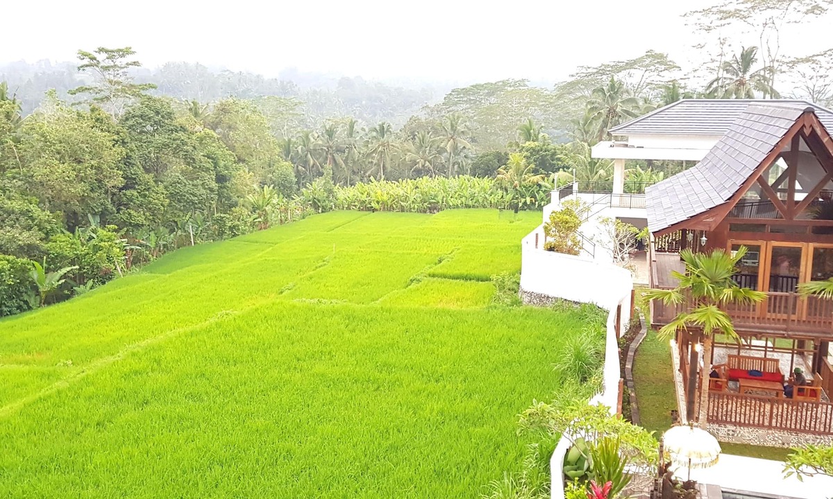 Keliki Villa | Peaceful Private Pool Villa - 9 BR with Amazing Green Rice Field View