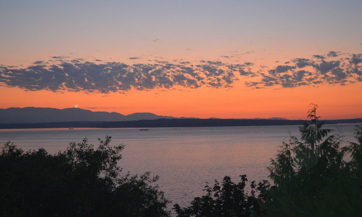 North Beach/Blue Ridge Apartment | Peaceful Seattle Luxury Estate Romantic Seaview Guesthouse