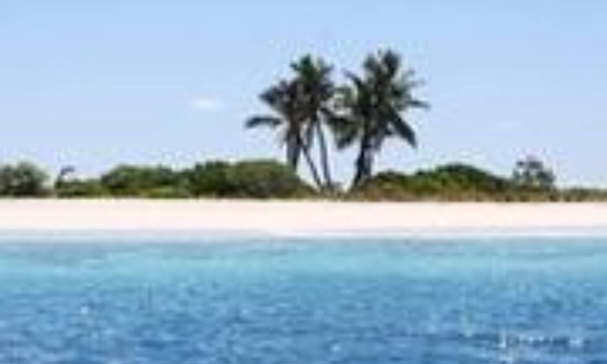 Nilandhoo Hotel | Pearl Beach View