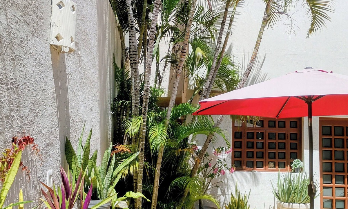 Downtown Cancun Bed & Breakfast | Pecari Bed and Breakfast