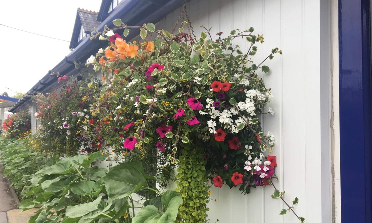 New Forest District Hotel | Penny Farthing Hotel