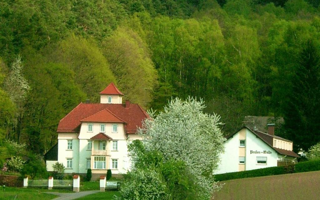 Oberzent House | Pension am Walde