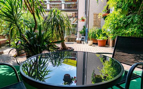 Borna House | Pension Borna