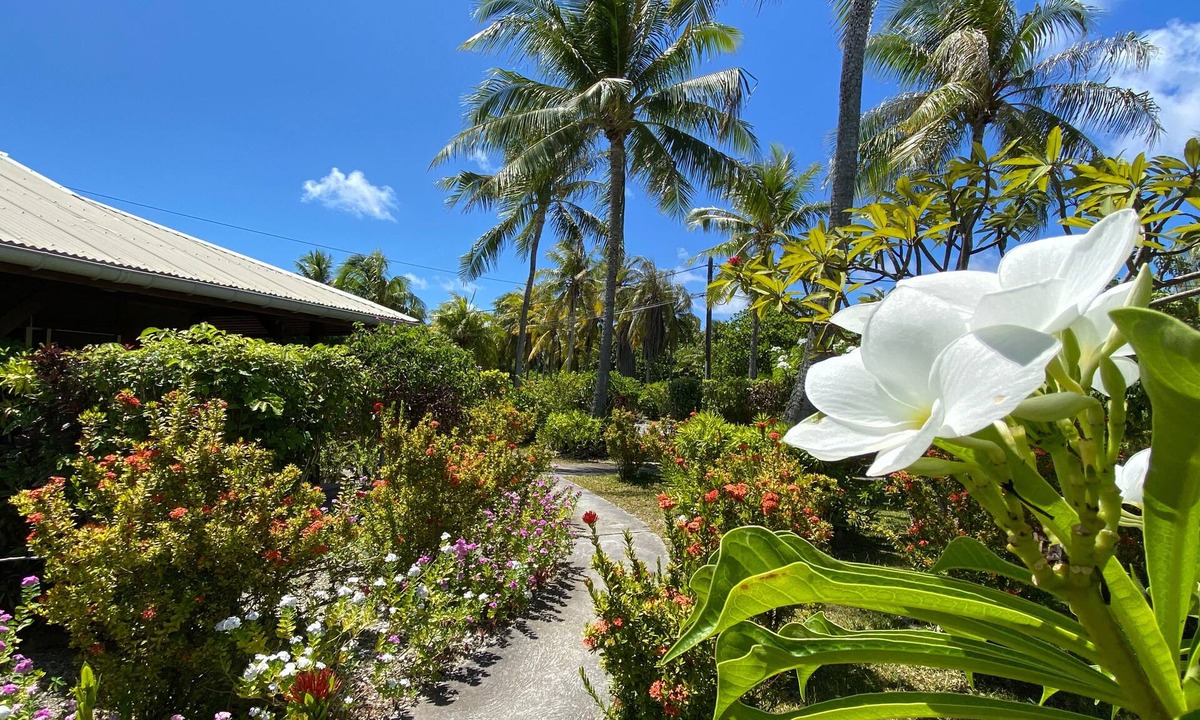 Rangiroa House | Pension BOUNTY
