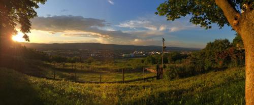 Mainz-Bingen House | Pension Forstgut Waldeck