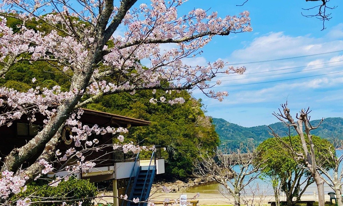 Toyo-cho Cabin | Pension Shishikui