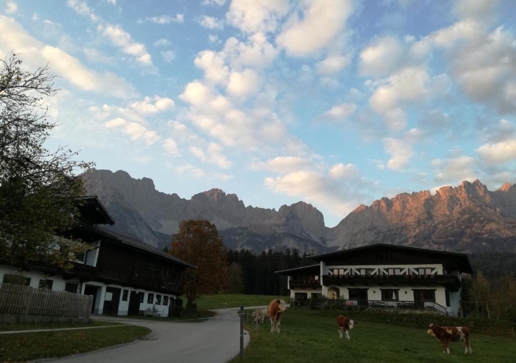 Going am Wilden Kaiser House | Pension Sunnbichl