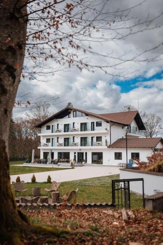 Avrig Bed & Breakfast | Pensiunea Amonte