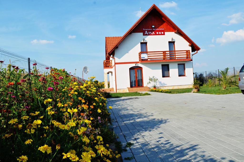 Odoreu House | Pensiunea Ana