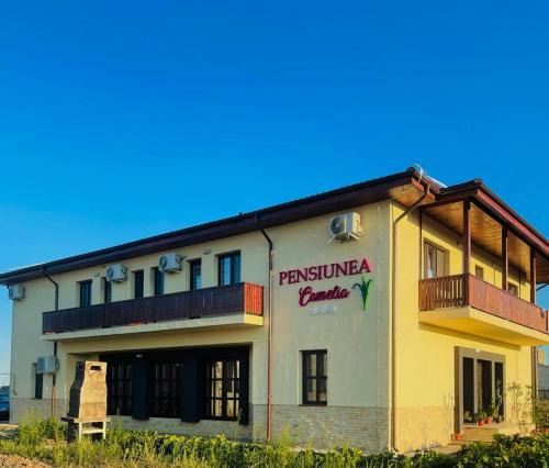 Tulcea County House | PENSIUNEA CAMELIA
