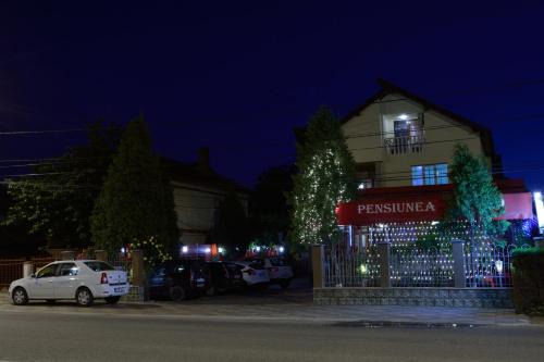 Barcea Mica House | Pensiunea Caro