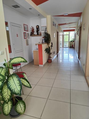 Lazaret House | Pensiunea Eli