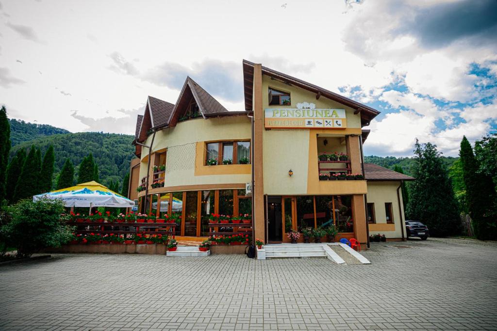 Dragoslavele Hotel | Pensiunea Floare de Colţ