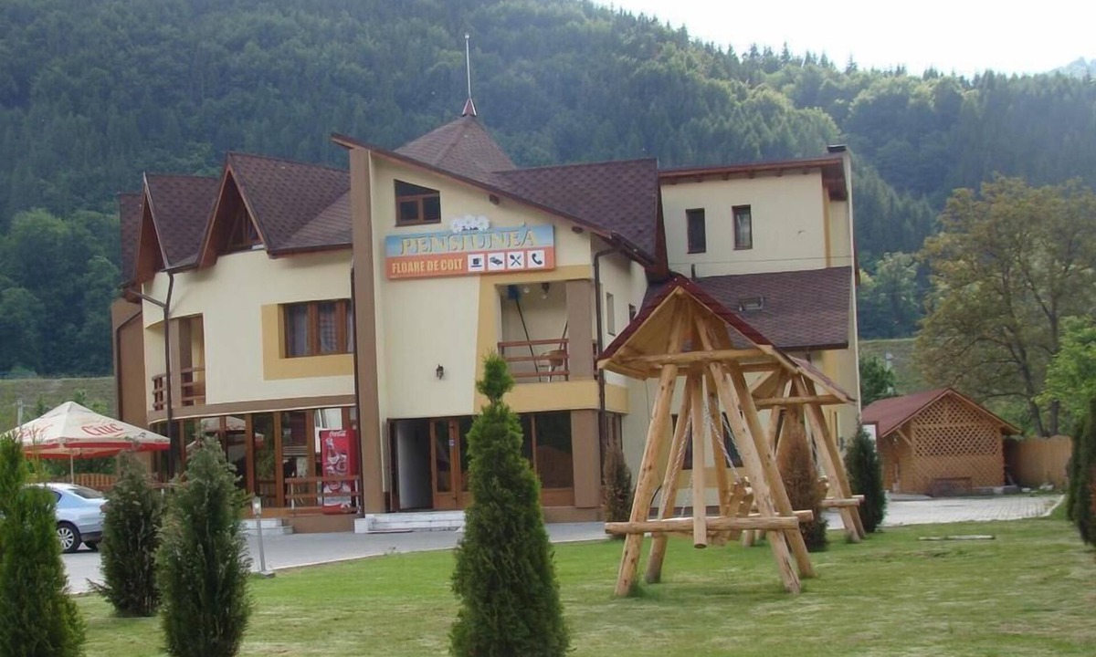 Dragoslavele Hotel | Pensiunea Floare de Colt