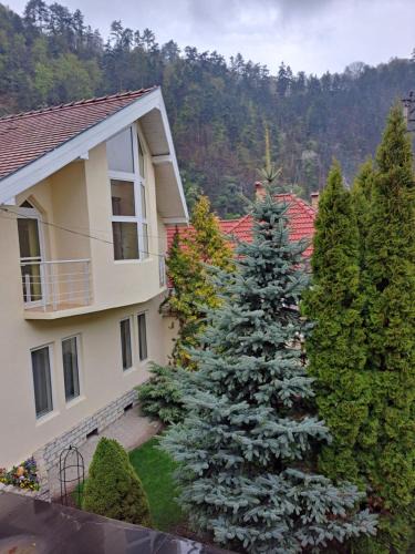 Tilisca House | Pensiunea Irina