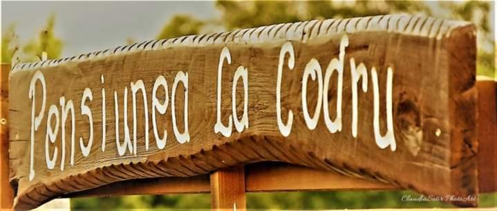 Jurilovca House | Pensiunea La Codru