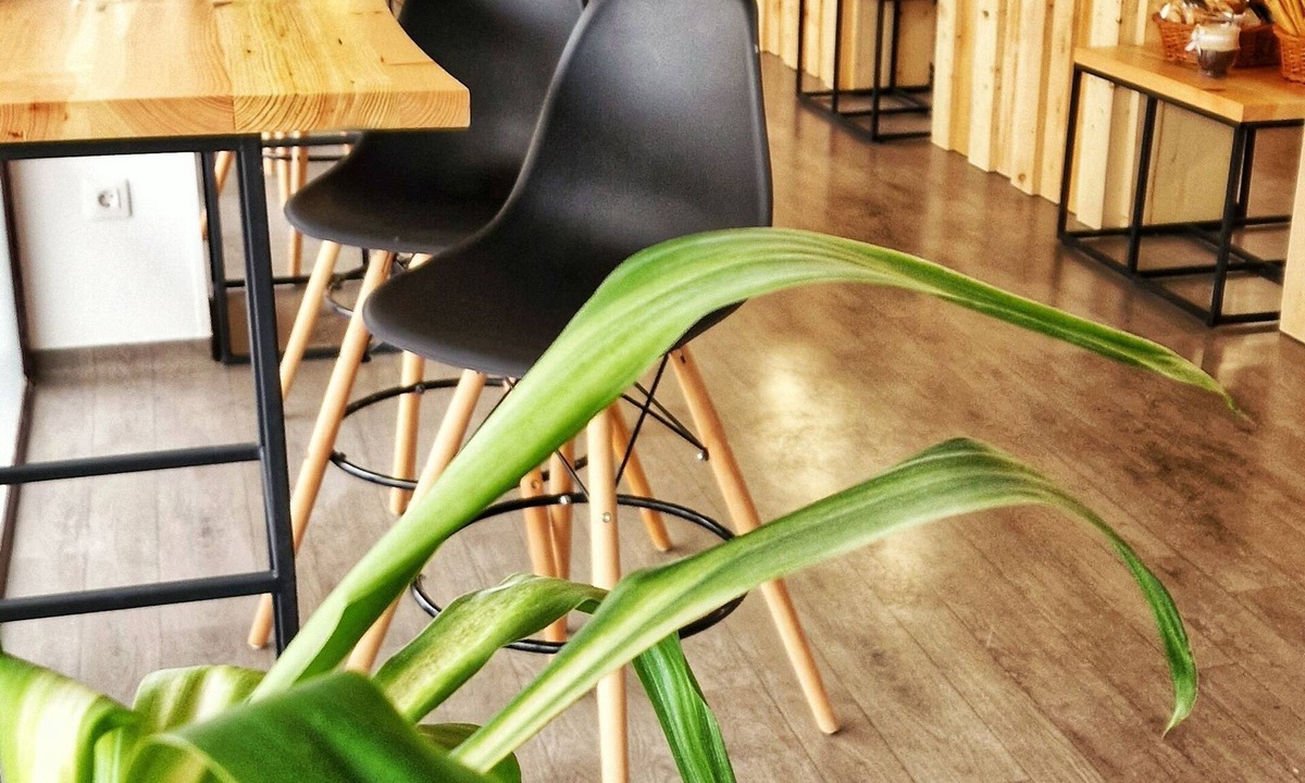 Scheia House | Pensiunea Santa Fe