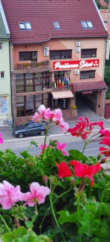 Arad House | Pensiunea Select