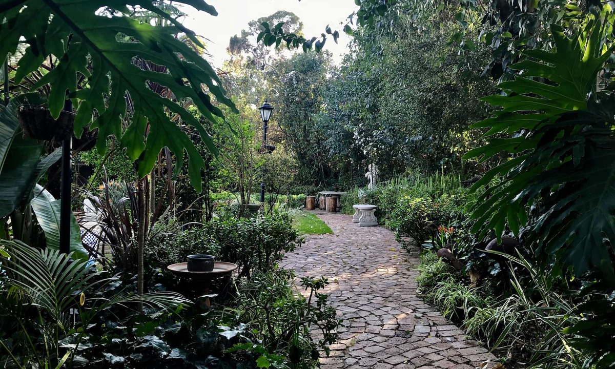 Greater Johannesburg Metropolitan Area Hotel | Pepper Tree BnB