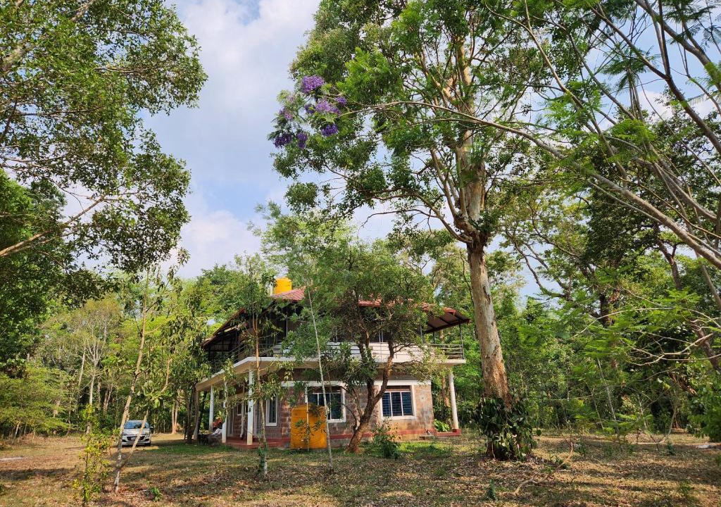 Kushalnagar House | Periwinkle Place