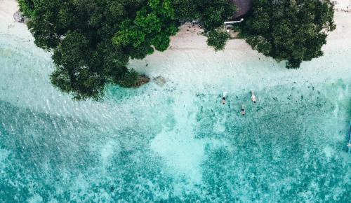 Basdiot Resort | Pescador View Beachfront and Extension by the Ocean Hostels & Restaurant Moalboal