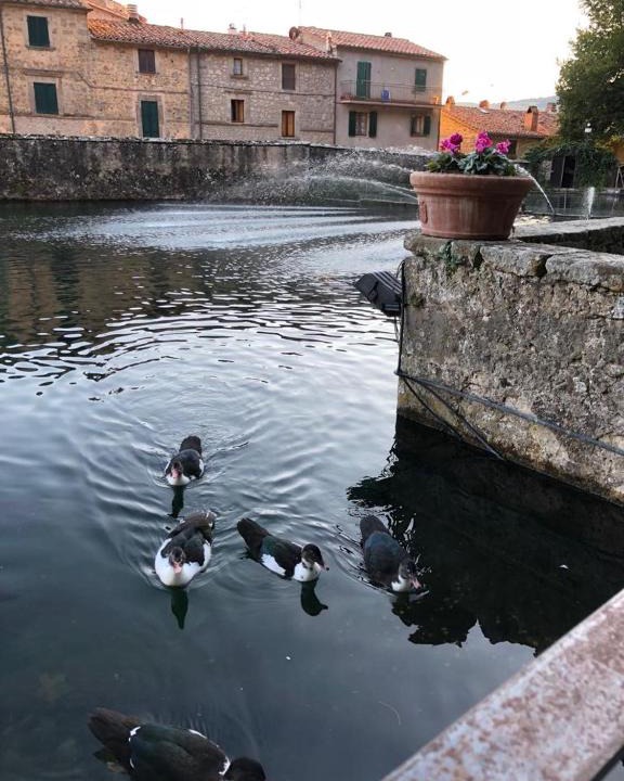Santa Fiora Apartment | Peschiera sweet home