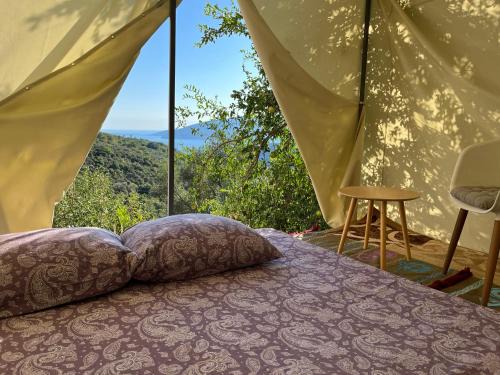 Grahovo Other | Pestorici - camp
