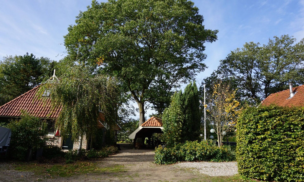 Eibergen House | Pet-friendly farmhouse with a lot of privacy in a lakeside beach