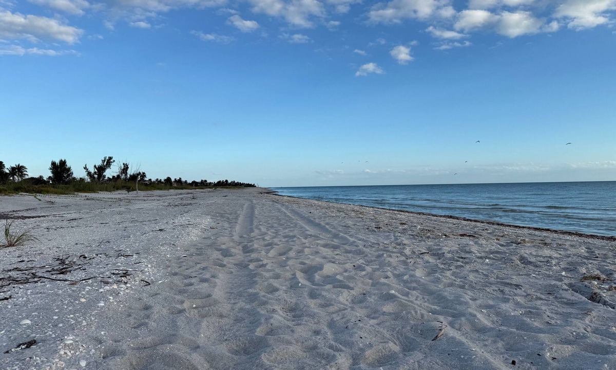 Chateaux Sur Mer House | Pet Friendly Gulf-Front Home with Private Pool | Late Summer & Fall Specials