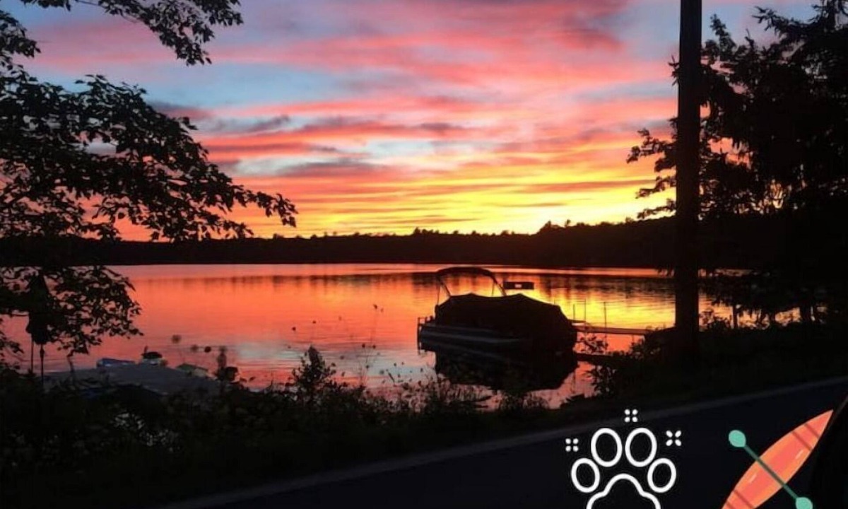 Tafton Cabin | Pet Friendly Lakefront Cabin