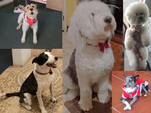 Trujillo House | PET FRiENDLY