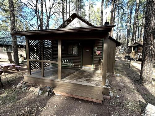 Christopher Creek House | Pet Friendly Studio Cabin with Kitchenette and BBQ, Perfect for a Weekend in the Forest of Christopher Creek