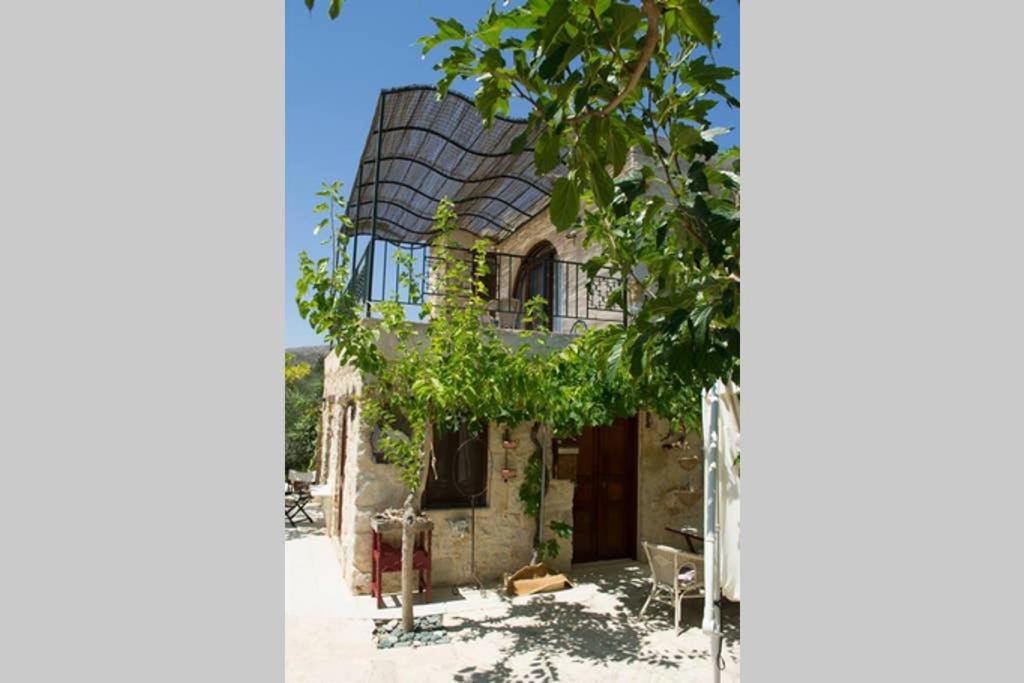 Sitia House | Petite Olive House
