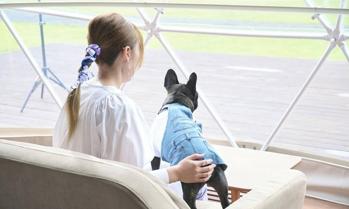 Katakai RV Rental | Pets allowed 7m dome tent A Room only plan /Sanbu District Chiba