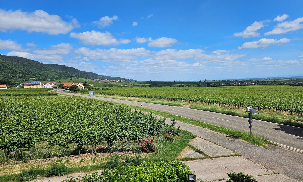 Edesheim House | Pfälzerglück - Spacious vacation home in the vineyards of the Southern Palatinate