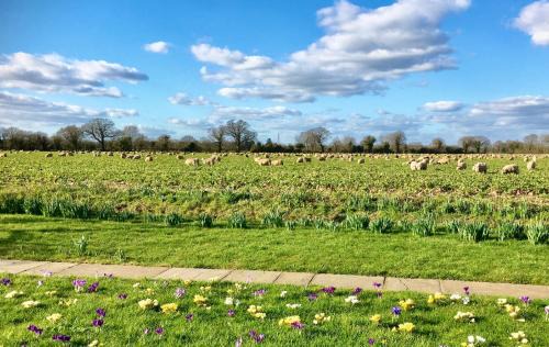 Elmstead Market House | Pheasant Suites