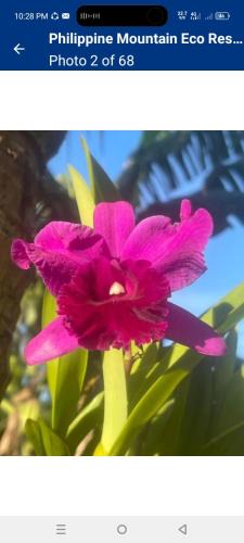 San Benito House | Philippine Mountain Eco Resort