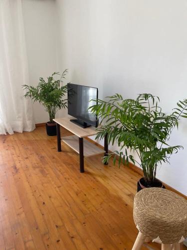 Vathi Apartment | Philoxenia Apartments 2