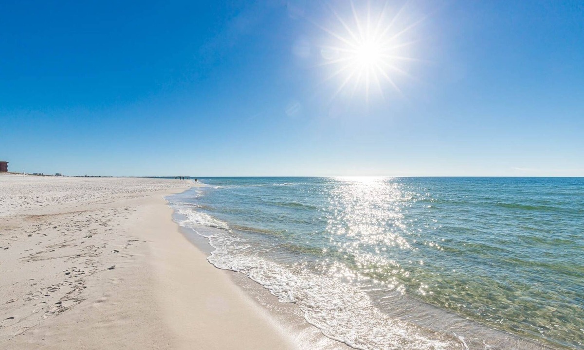 Orange Beach Condo | Phoenix Orange Beach Ii 1202 3 Bedroom Condo