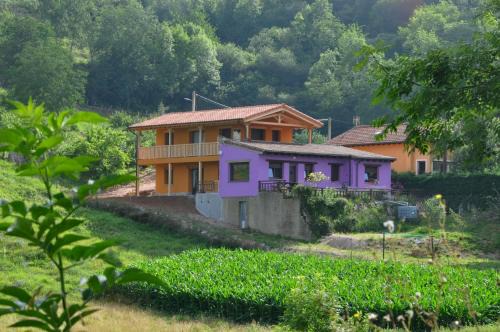 Santianes de Ola House | PicuAstur