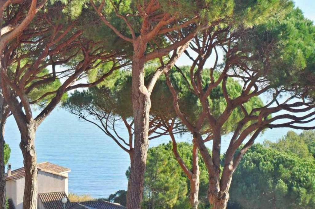 La Nartelle Apartment | Pierre et Vacances n° 14