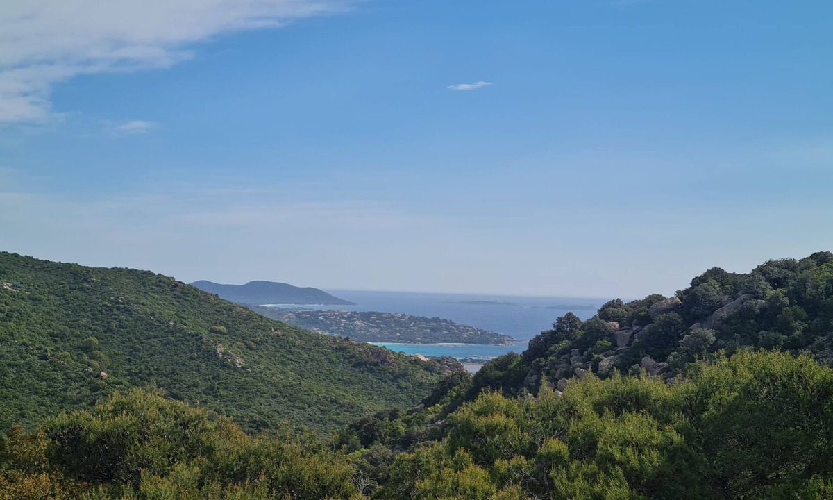 Pietra Long Salvini House | Pietralunga by Interhome