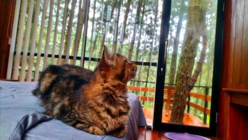 Sukapura Hotel | Pineforrest