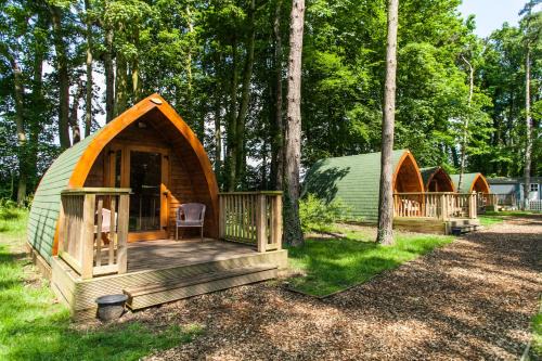 Hythe Other | Pinewood - At Port Lympne Hotel & Reserve