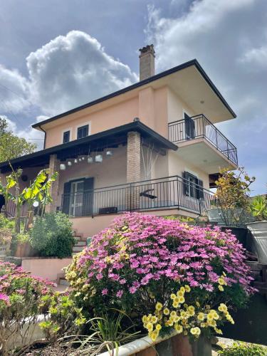 Perdifumo House | Pink House