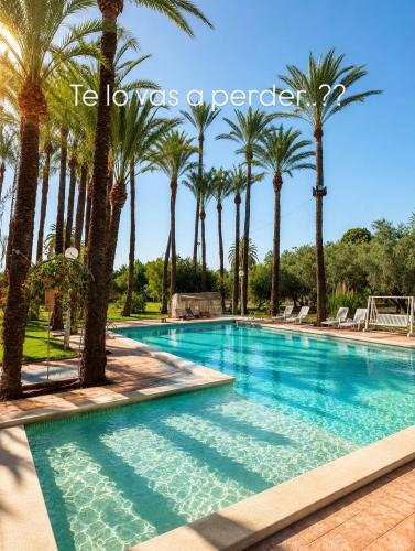 Elche Bed & Breakfast | Pink Lemon House